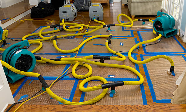 Professional Structural Drying And Dehumidification technician working in Montgomeryville, PA